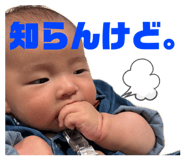 838520336