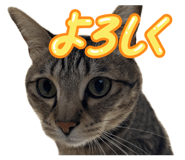 838520876