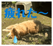838521317