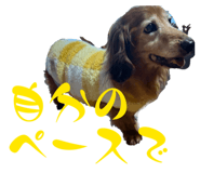 838521328