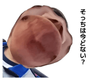 838522204