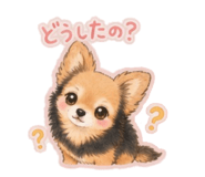 838522238