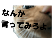 838522248