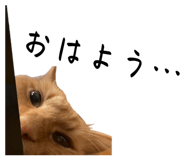 838522377