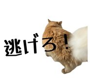 838522384