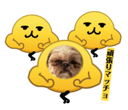 838522416