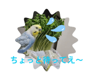 838522753