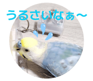 838522756