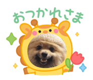 838523245