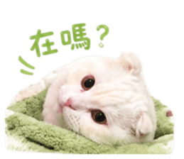 838523315