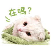 838523315