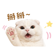 838523317