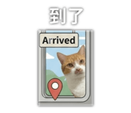 838523746