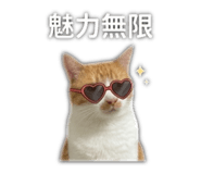 838523750