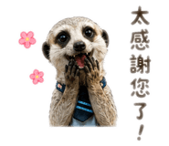 838523782