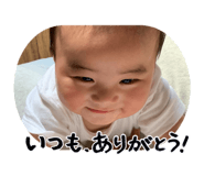 838524003
