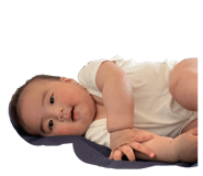 838524004