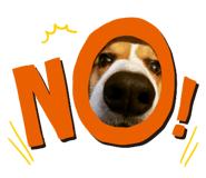 838524434
