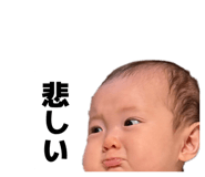838524762
