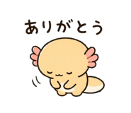 838525634