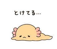 838525642