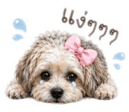 838526044