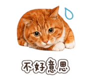 838528546