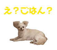 838528756