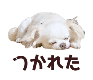 838528758
