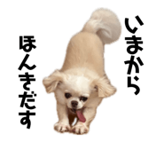 838528759