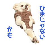 838528761