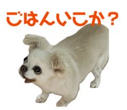 838528765