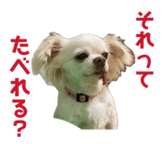 838528767
