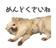 838528773