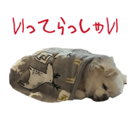 838528775