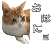 838530277