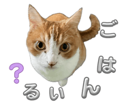 838530278