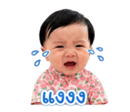 838530406