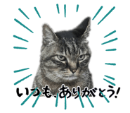 838530611
