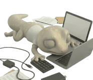 838530725