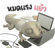 838531133
