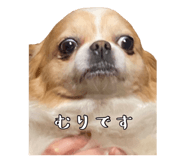 838532154