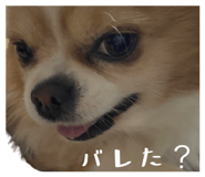 838532156