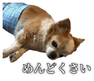 838532160