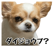 838532164