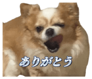 838532165