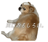 838532166