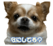 838532169