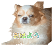 838532171