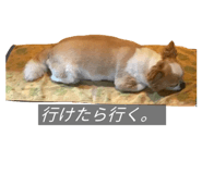 838532172
